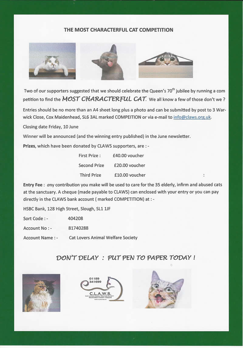Characterful Cat Competition